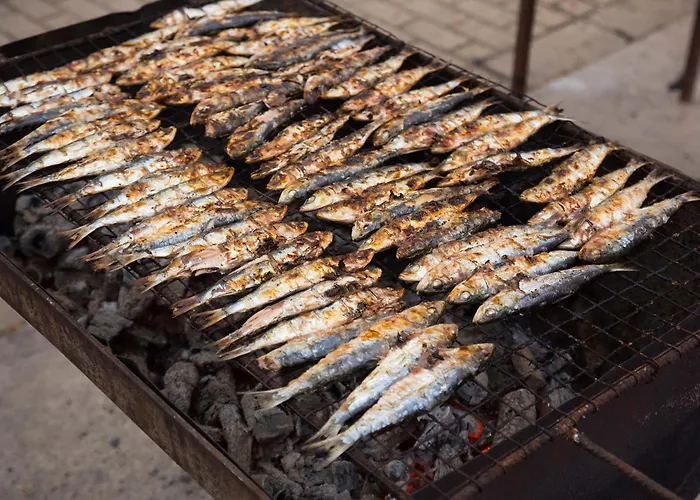 B12 - Sun * ラゴス